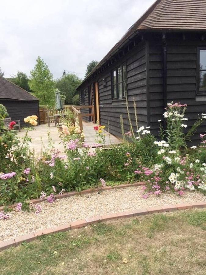 Orchard Cottage Canterbury Zewnętrze zdjęcie